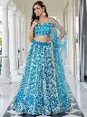 Embroidered Semi Stitched Lehenga Choli (sky blue)